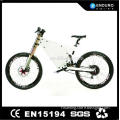 Modern design best selling two wheels electric bicycle